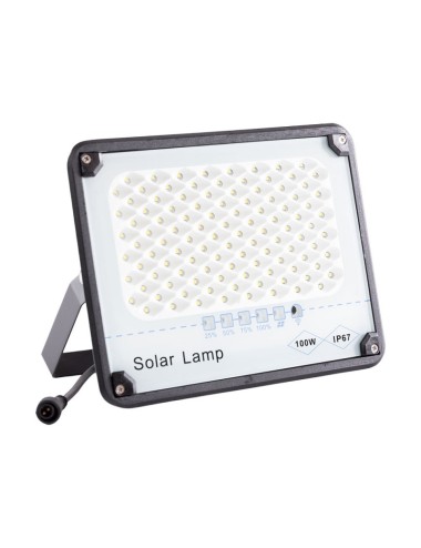 Projecteur LED Solaire 100W Panneau Solaire/Batterie [WR-MTX-100W-CW]