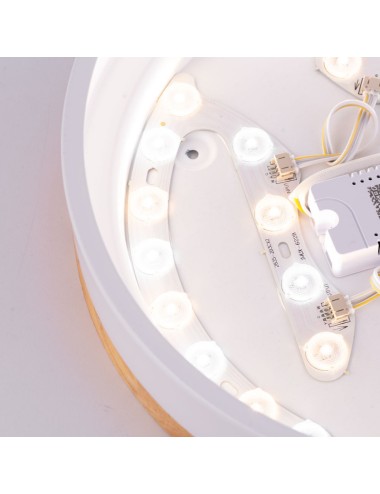 Plafonnier LED 24W 2493Lm Télécommande (Luminosité-CCT) 10.000H [HO-CCT-DL24W]