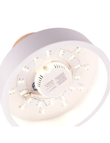 Plafonnier LED 15W 1250Lm Télécommande (Luminosité-CCT) 10.000H [HO-CCT-DL15W]
