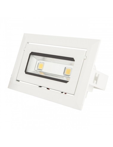 Downlight LED 20W 1.800Lm 6000ºK Tout droitngulaire Inclinable 40.000H [HO-DRECTBAS-20W-CW]