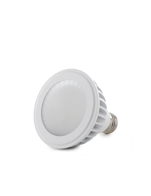 Ampoule LED E27 12W 960Lm 6000ºK PAR30 40.000H [HO-PAR30-12W-CW]