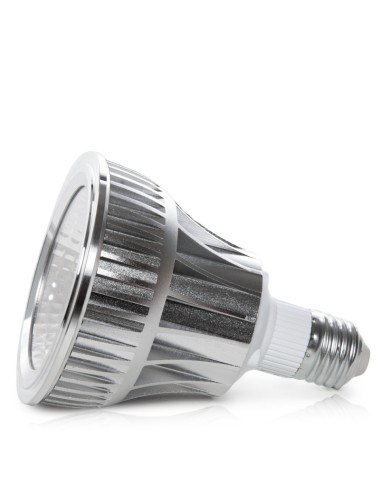 Ampoule LED E27 20W 1.800Lm 6000ºK PAR30 40.000H [HO-PAR30-20W-CW]