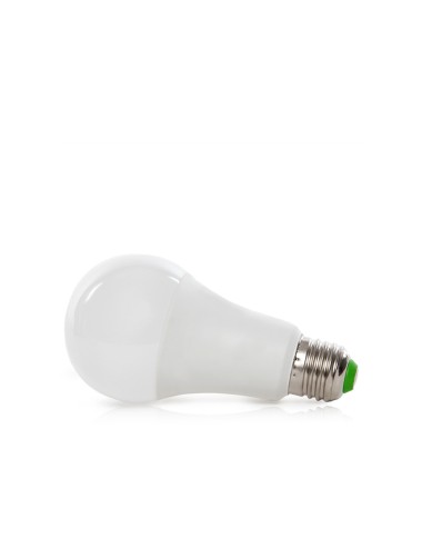 Ampoule LED E27 9W 1.100Lm 6000ºK 50.000H [HO-NB-E27-9W-CW]